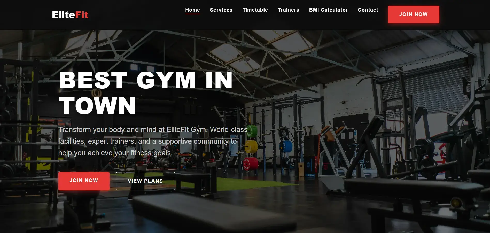 Screenshot of the Fitness Club project website